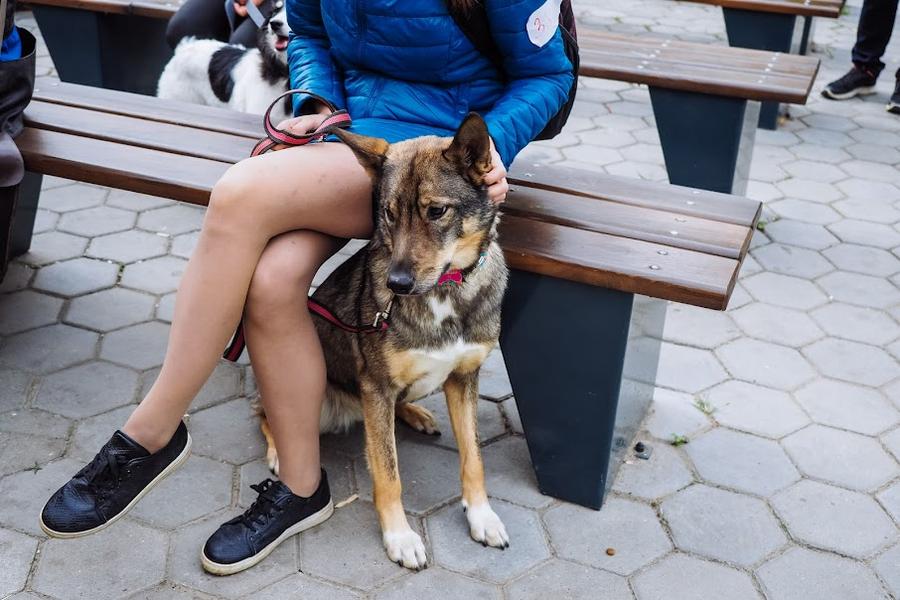 Борьба с общественным пространством: альметьевская школа пытается изгнать со своей территории чужаков