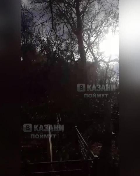 На кладбище в Казани рабочие забросали могилы спиленными деревьями
