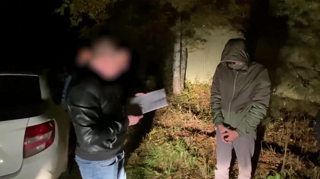 Татарстанец выращивал коноплю в проданной бане втайне от ее нового владельца