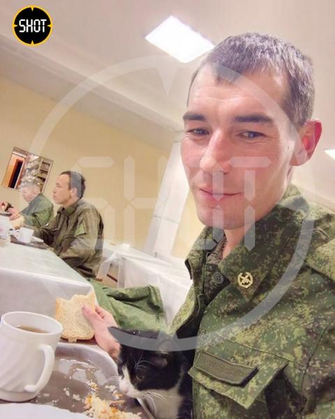 Котенок из Марий Эл отправился в зону СВО вместе со своим хозяином