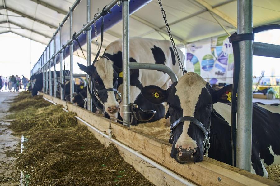 «Обороноспособность нашей страны во многом зависит от обеспечения технологического суверенитета»: Минниханов определил вектор развития экономики Татарстана