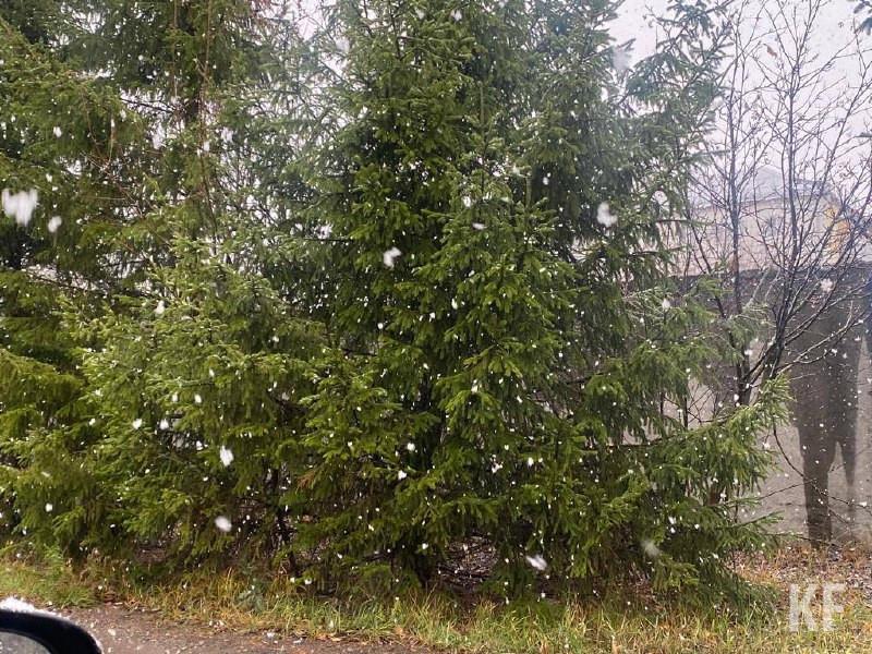 Сильный снегопад в Казани: видео