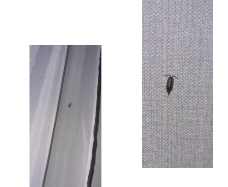 «Каждый раз волосы дыбом — сколько всего натворил один человек»