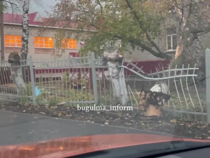 Сильный ветер повалил деревья в Бугульме