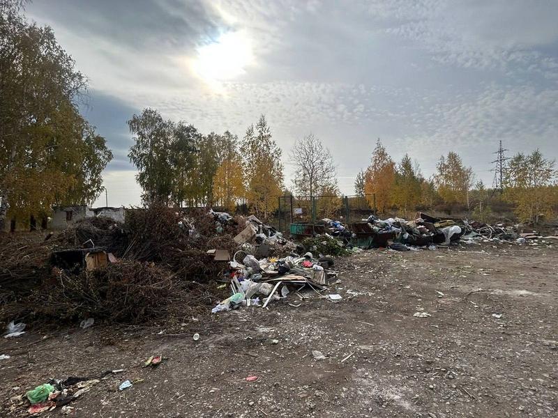 Экологи по звонку выехали в Альметьевский район и нашли свалку