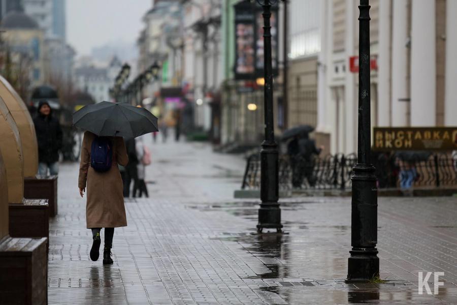 Челнинские «ходоки» обошли московских