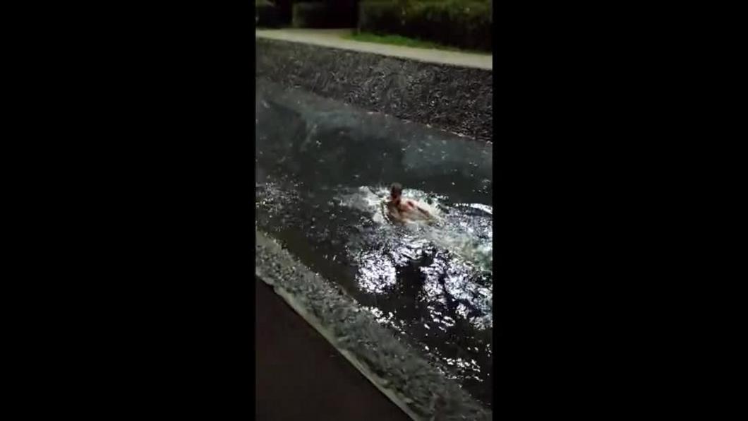 Видео: в Казани мужчина проплыл по каналу в парке Урицкого