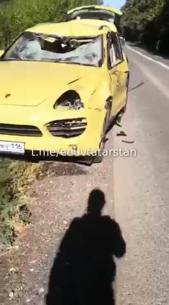 В Татарстане водитель Porshe насмерть сбил выбежавшего на дорогу лося