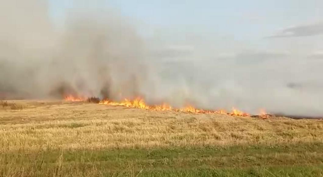 Пожарные потушили масштабный пожар на поле в Алексеевском районе