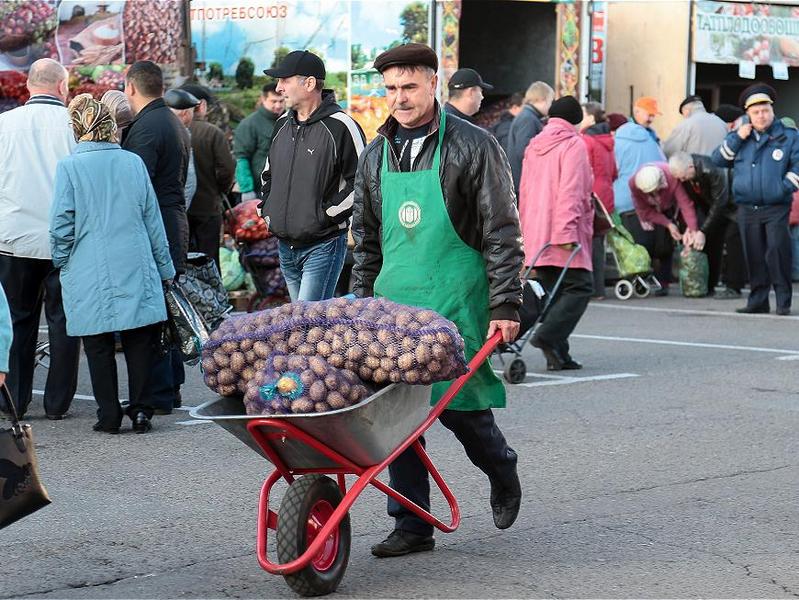 Экономия и качество: в Татарстане начинается сезон сельхозярмарок