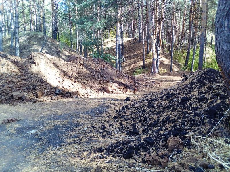 Челнинцы заподозрили, что участок у Шильнинского леса хотят захватить