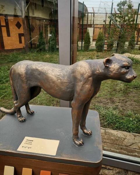 Скульптуры животных поставили в казанском зоопарке