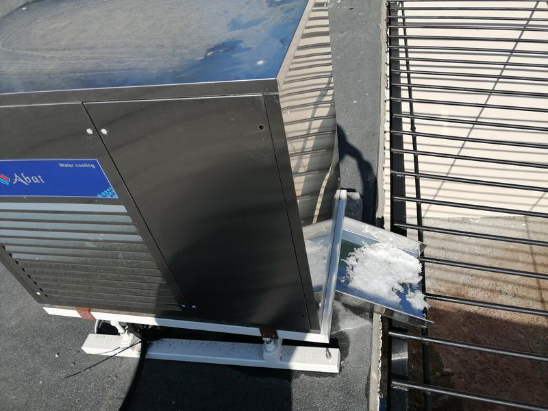 Зооботсад усовершенствовал вольер для белого медведя Терпея