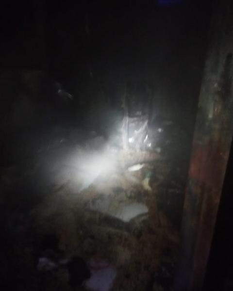 Более ста собак спасли из огня в Рыбно-Слободском районе Татарстана Более ста собак спасли из огня в Рыбно-Слободском районе Татарстана