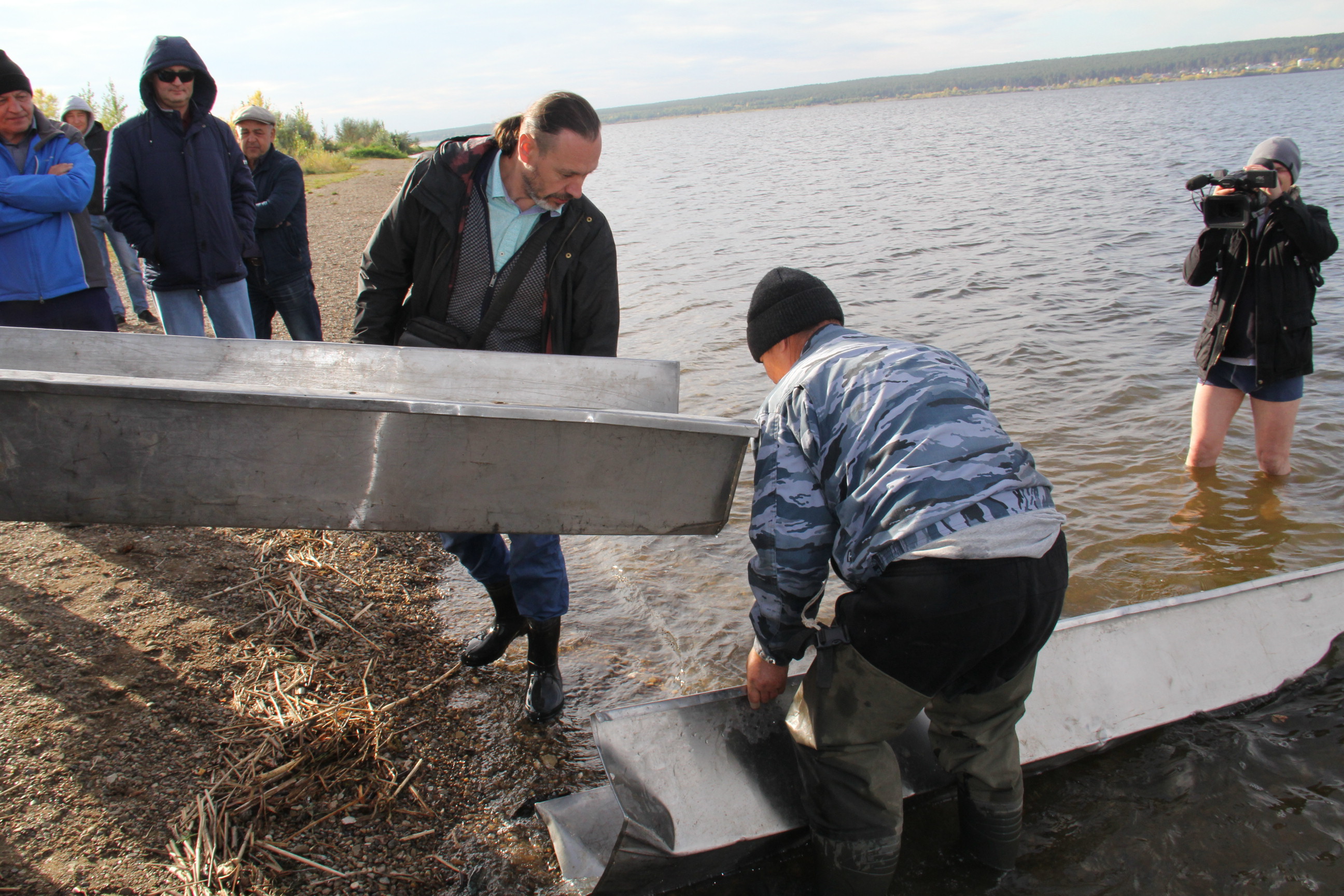 В Каму у элитного поселка «Чаллы Яр» выпустили почти 27 тысяч мальков сазана