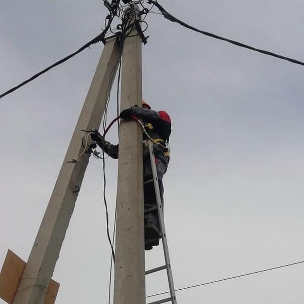 «УК «ПЖКХ» начал бороться с казанцами, которые забивают контейнеры для ТКО растительным мусором