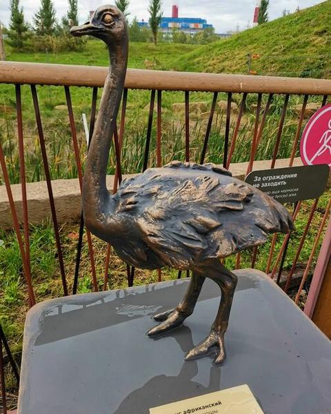 Скульптуры животных поставили в казанском зоопарке