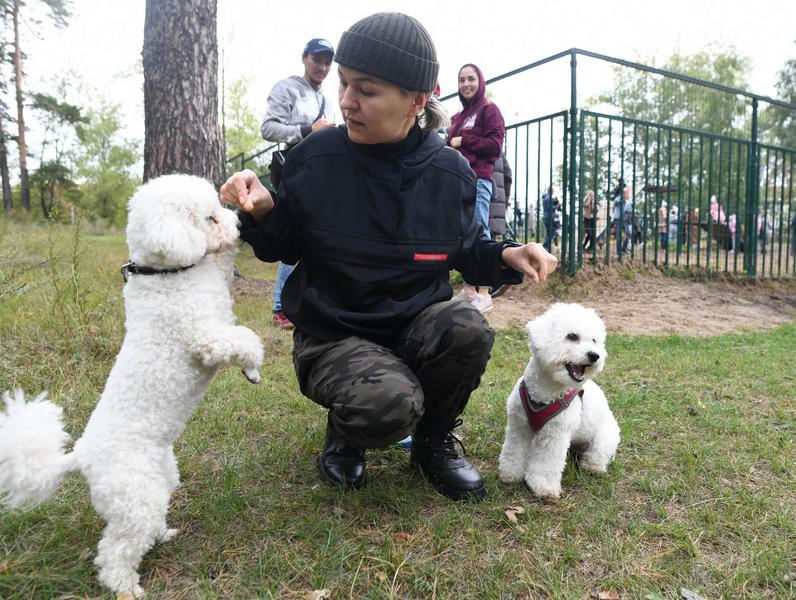 На акции «Лапа дружбы» в Казани хозяев обрели четыре собаки из приюта