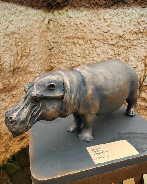 Скульптуры животных поставили в казанском зоопарке