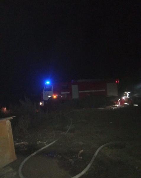 Более ста собак спасли из огня в Рыбно-Слободском районе Татарстана Более ста собак спасли из огня в Рыбно-Слободском районе Татарстана