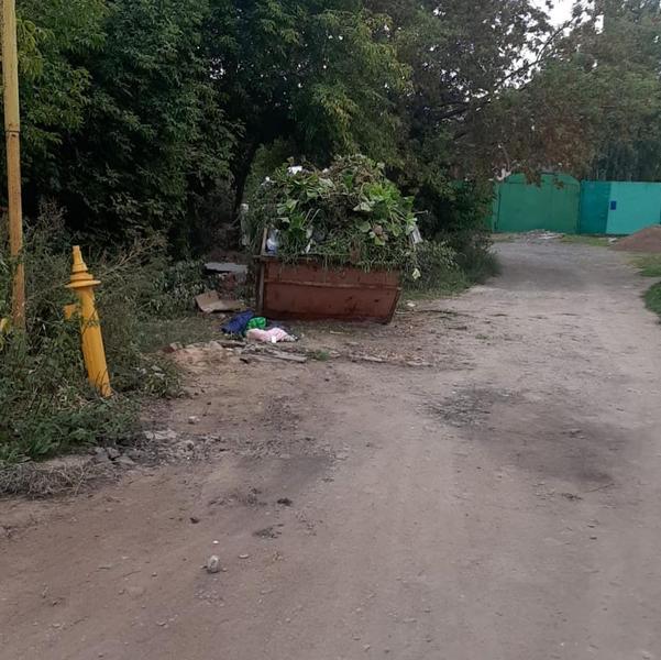 «УК «ПЖКХ» начал бороться с казанцами, которые забивают контейнеры для ТКО растительным мусором