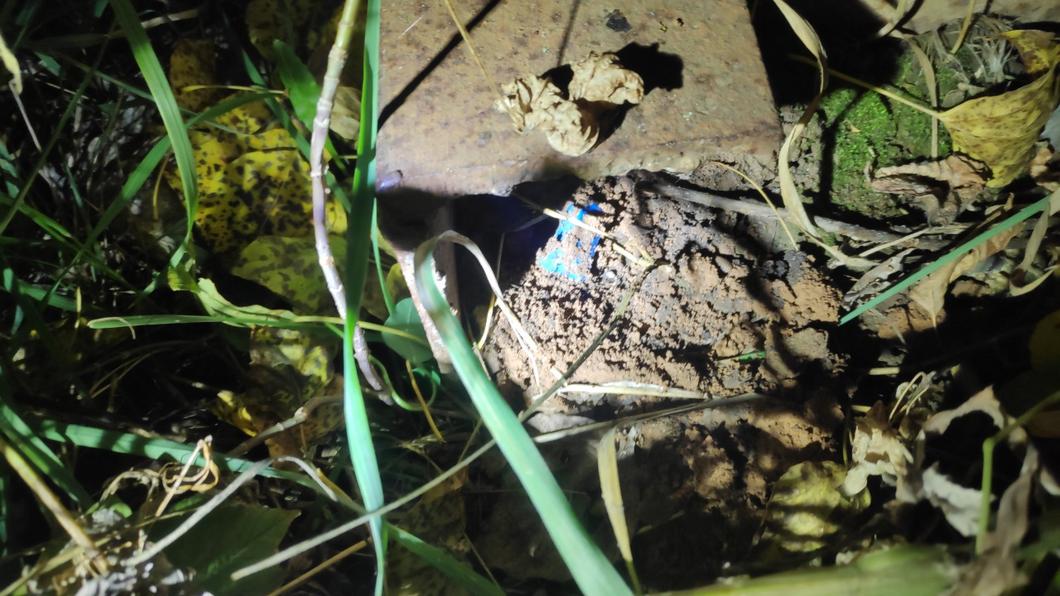 В Нижнекамске задержали оптового закладчика В Нижнекамске задержали оптового закладчика