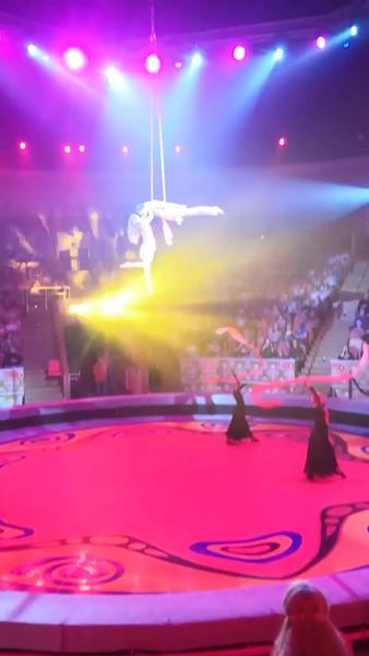 Гимнастка цирка в Омске сорвалась с пятиметровой высоты: момент попал на видео