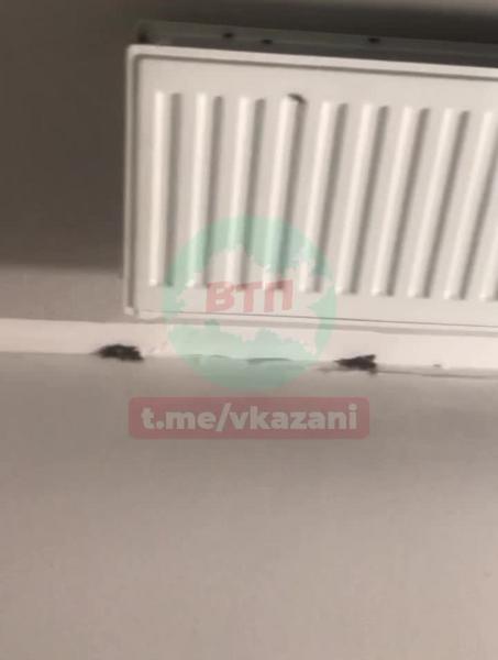 Мухи атаковали казанскую многоэтажку