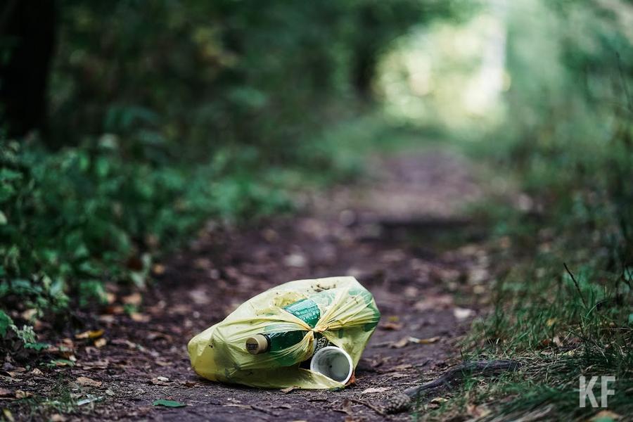 Казань едва не задохнулась из-за лесных пожаров в соседних регионах