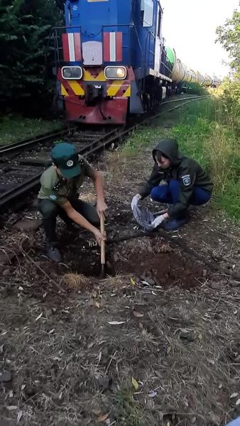 На территории промзоны в Нижнекамске на земле обнаружили разлитую нефть