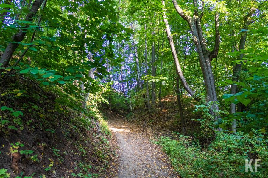 В лесах Татарстана достаточно непросто проходит пожароопасный сезон»