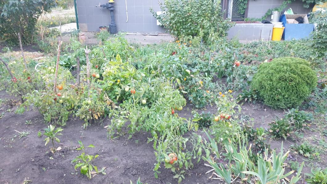 Разделяй без власти: мусорная реформа в Челнах пошла задним ходом