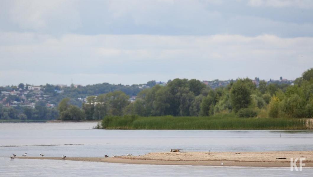 «Камасталь», «Орсис-Агро» и «ЦИ И УП»: какие предприятия навредили экологии Нижнекамска