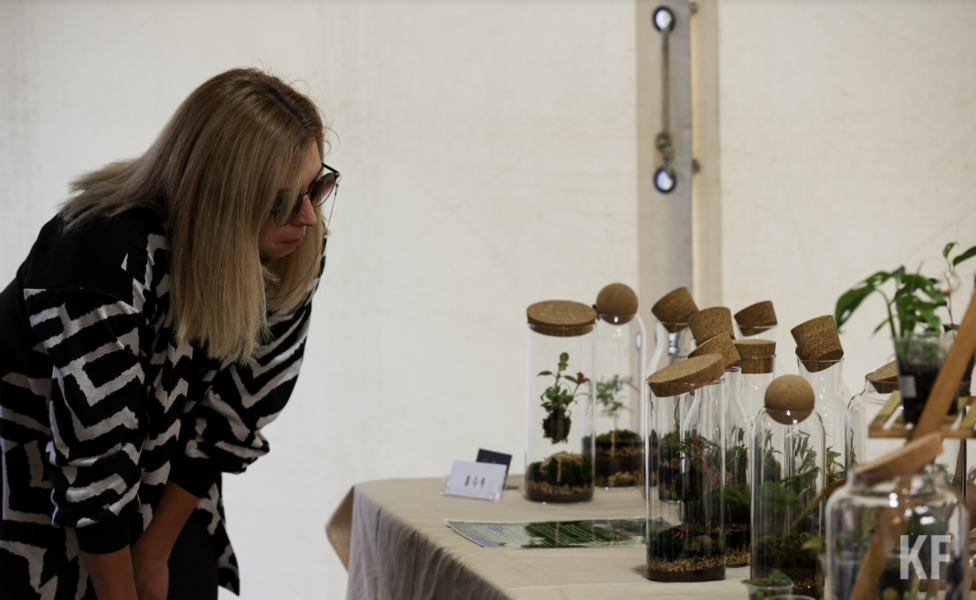 Топ-10 лучших фото с фестиваля на улице Профсоюзной в Казани