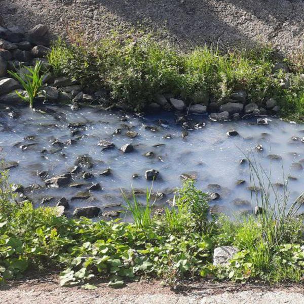 Альметьевскую автомойку заподозрили в загрязнении Бигашки в парке «Здоровье»