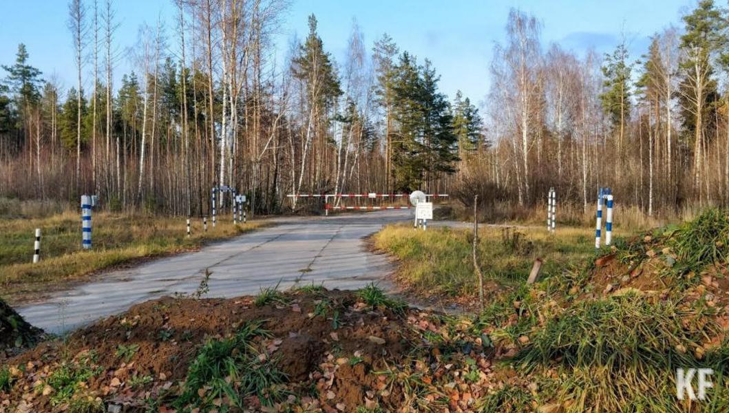 В лесу Казани нашли части тела мужчины, ушедшего в монастырь в мае 24. ...