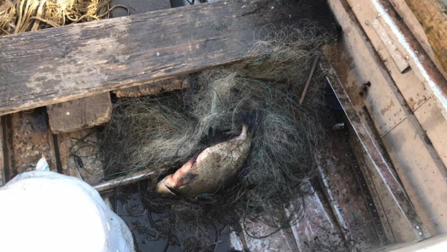 Сотрудники ежедневно патрулируют берега озер и рек.