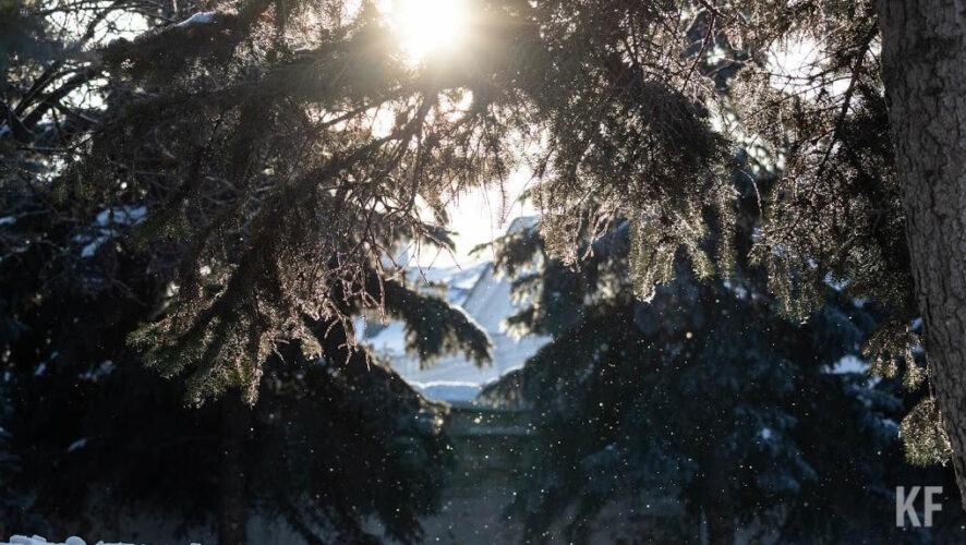 39-летнего мужчину задержали вместе с подельником