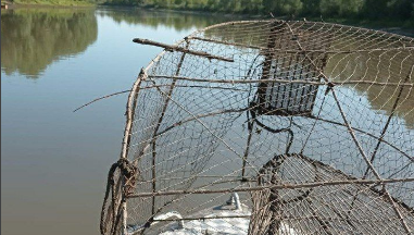 Обнаружены и изъяты 35 раколовок и 13 сетей.