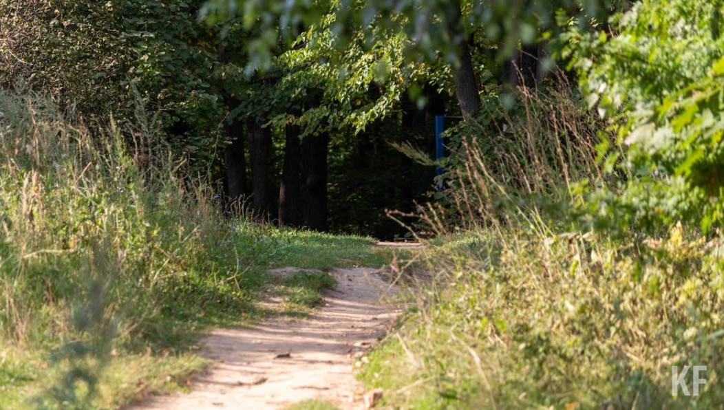 Постановление подписал премьер-министр республики Алексей Песошин.