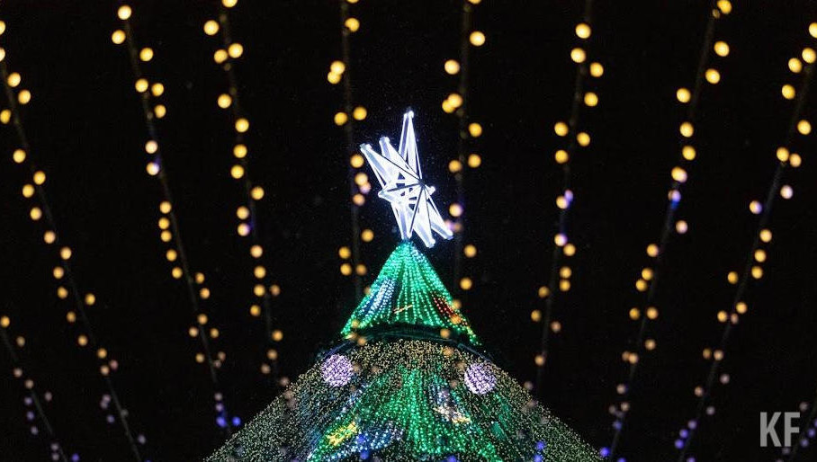 Обратиться можно с 5 по 16 декабря.