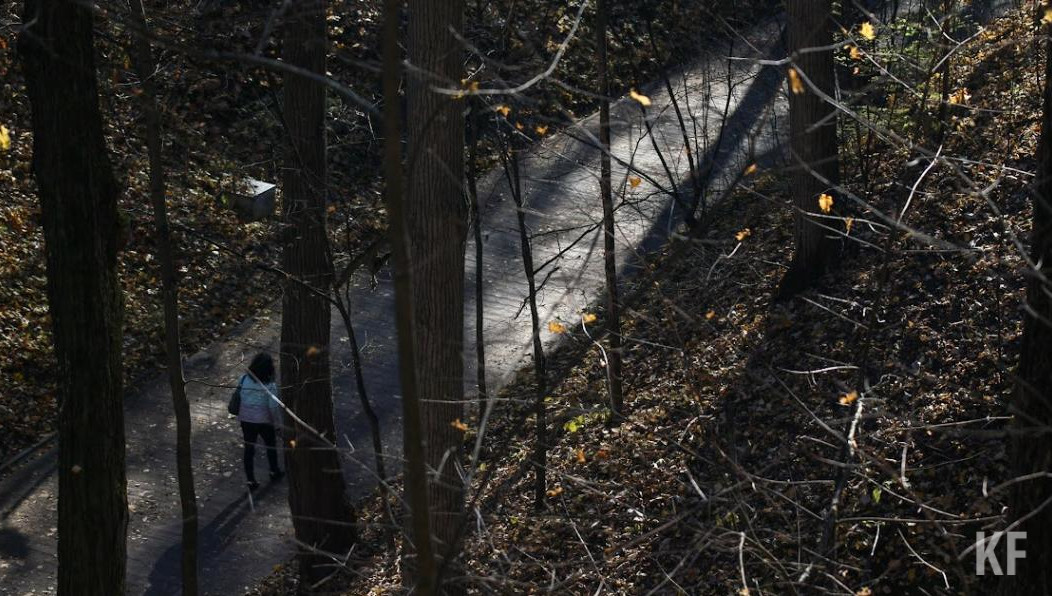 Горожанку обнаружили в камышовых зарослях.