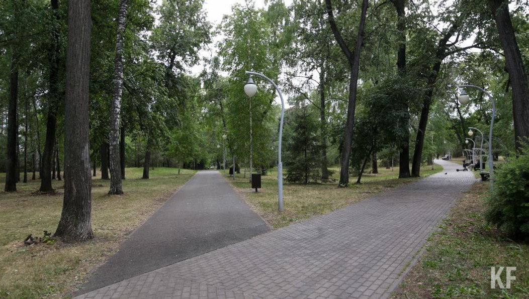 На валку аварийных насаждений готовы потратить более 2