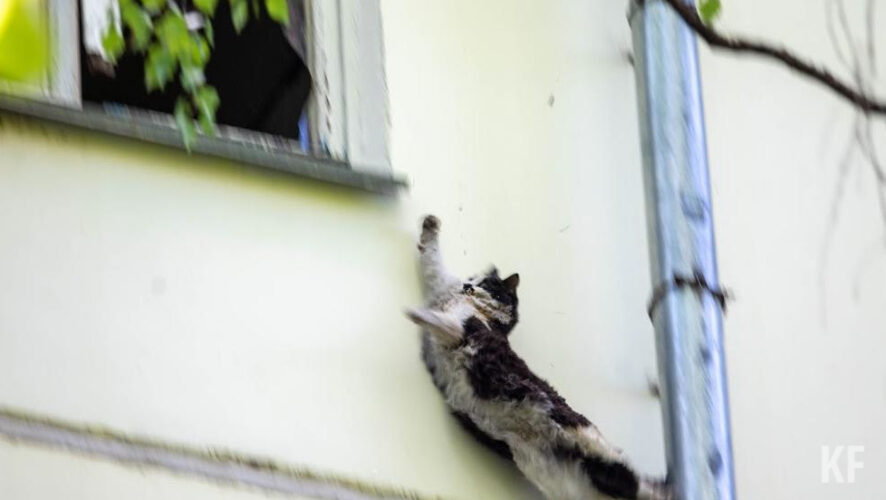 Детективная история со смертью и выживанием произошла в столице.