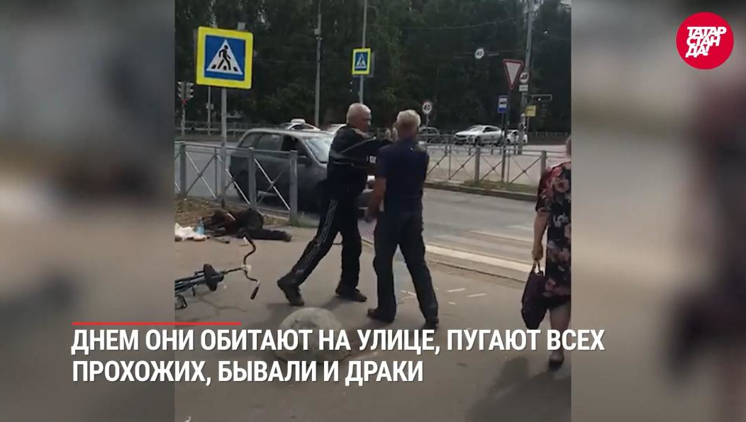 Бездомные пугают не только жителей домов