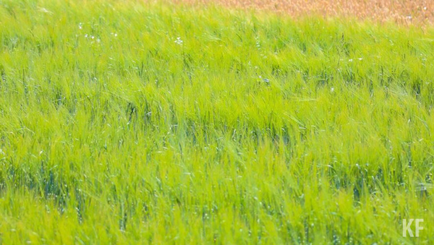 Его признали виновным по статье &laquo;Незаконные приобретение