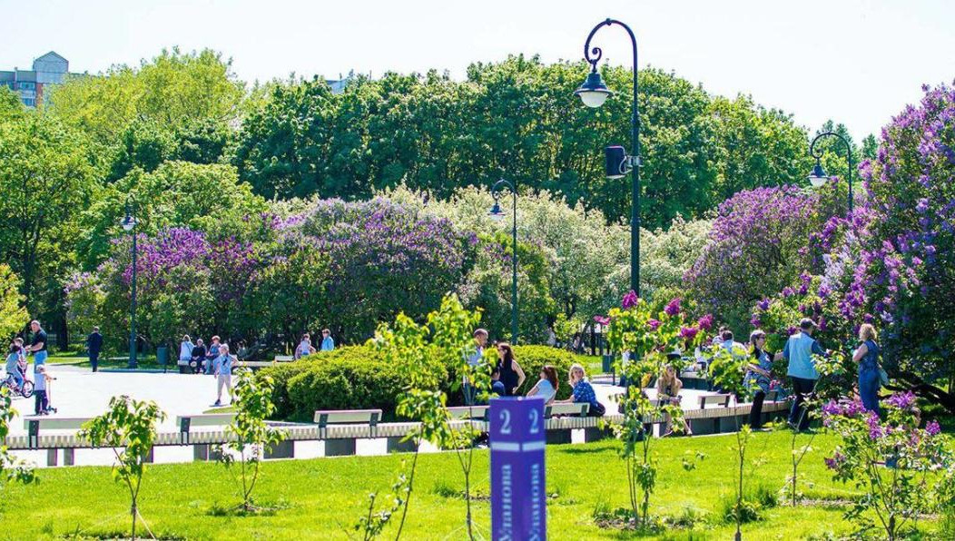 Градоначальник предложил местным жителям выбрать место под новый парк.