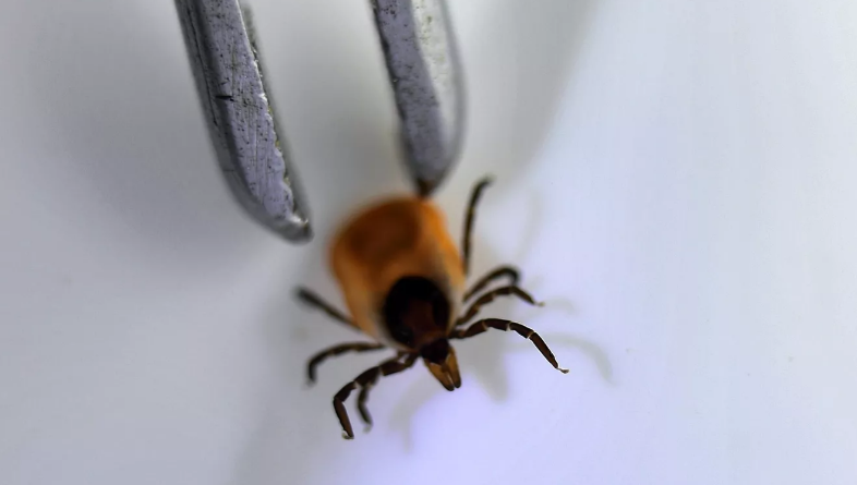 Медик напомнил