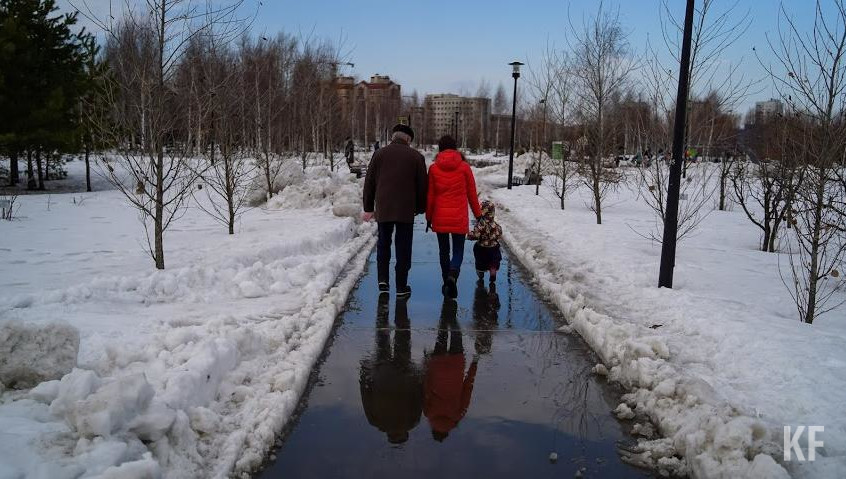 Также по заявлениям на получение земельных участков принято решение о включении в списки 60 822 заявителя.