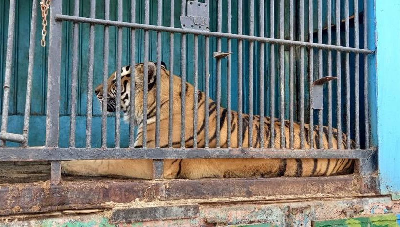 Проверкой жалоб жителей занялась прокуратура.